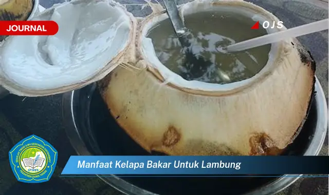 manfaat kelapa bakar untuk lambung