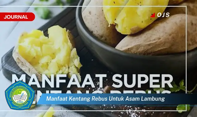 manfaat kentang rebus untuk asam lambung