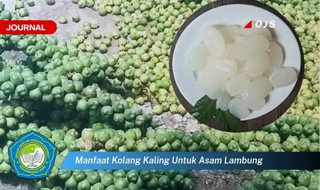 manfaat kolang kaling untuk asam lambung