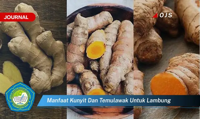 Intip 6 Manfaat Kunyit dan Temulawak untuk Lambung yang Bikin Kamu Penasaran - E-Journal