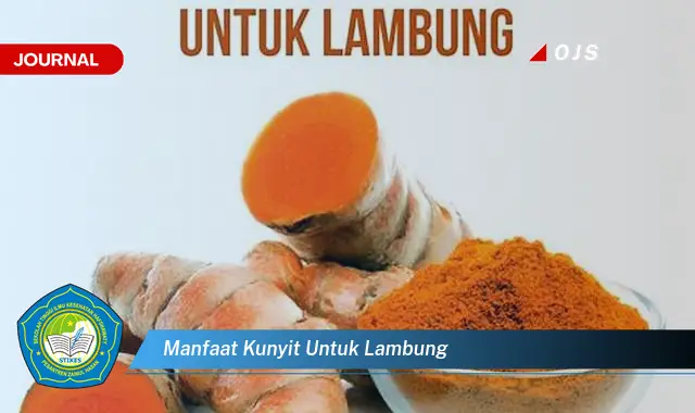 manfaat kunyit untuk lambung manfaat kunyit untuk lambung