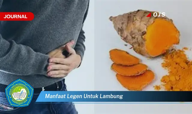 Intip 6 Manfaat Legen untuk Lambung yang Wajib Kamu Intip - E-Journal