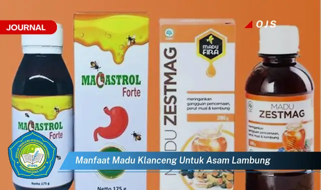 manfaat madu klanceng untuk asam lambung