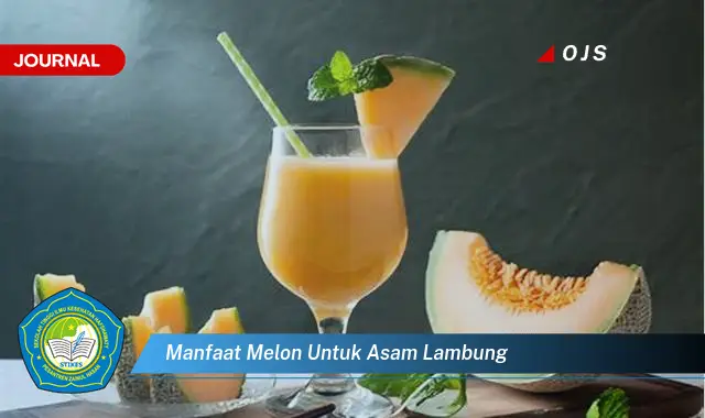 manfaat melon untuk asam lambung