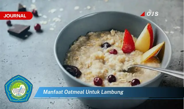 manfaat oatmeal untuk lambung