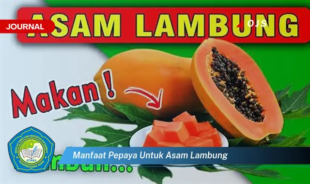 manfaat pepaya untuk asam lambung