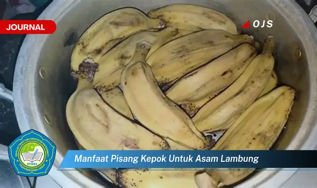manfaat pisang kepok untuk asam lambung manfaat pisang kepok untuk asam lambung