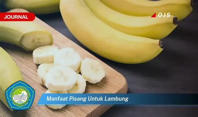 manfaat pisang untuk lambung manfaat pisang untuk lambung