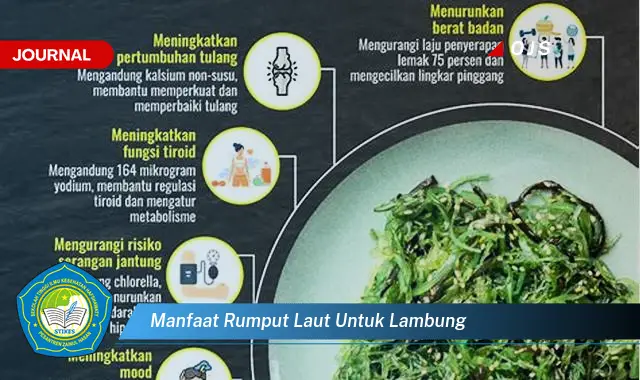 manfaat rumput laut untuk lambung