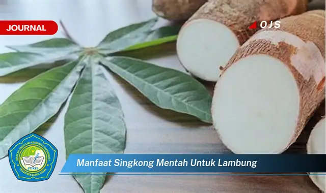 manfaat singkong mentah untuk lambung