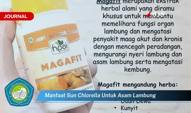 manfaat sun chlorella untuk asam lambung