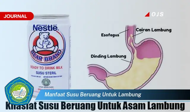 manfaat susu beruang untuk lambung