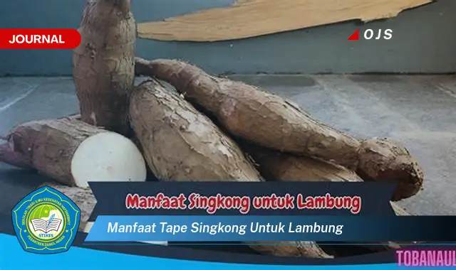 manfaat tape singkong untuk lambung