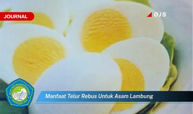 manfaat telur rebus untuk asam lambung