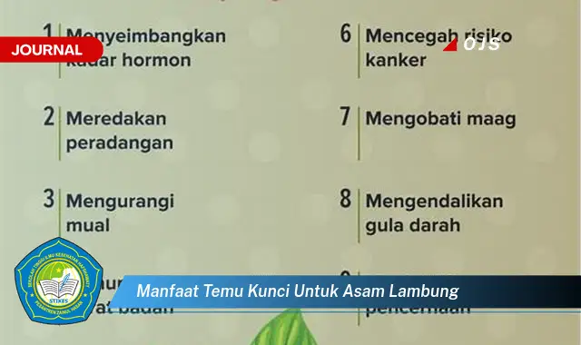 manfaat temu kunci untuk asam lambung