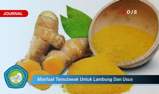 manfaat temulawak untuk lambung dan usus