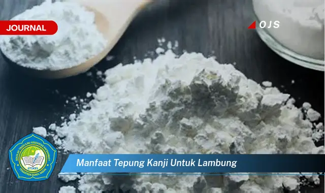 manfaat tepung kanji untuk lambung manfaat tepung kanji untuk lambung