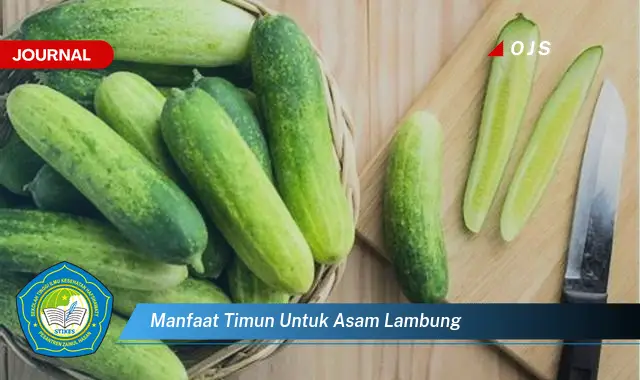 manfaat timun untuk asam lambung manfaat timun untuk asam lambung