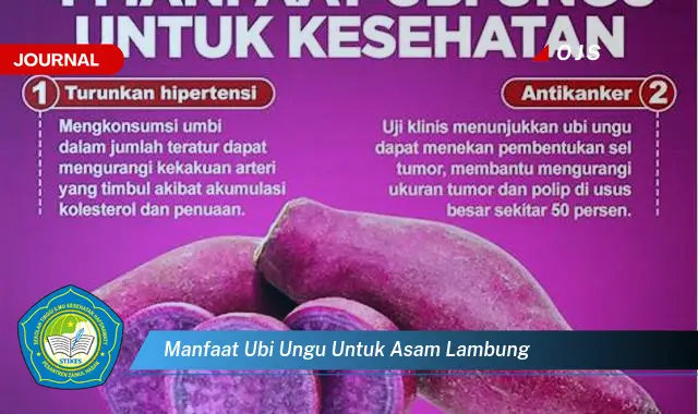 manfaat ubi ungu untuk asam lambung