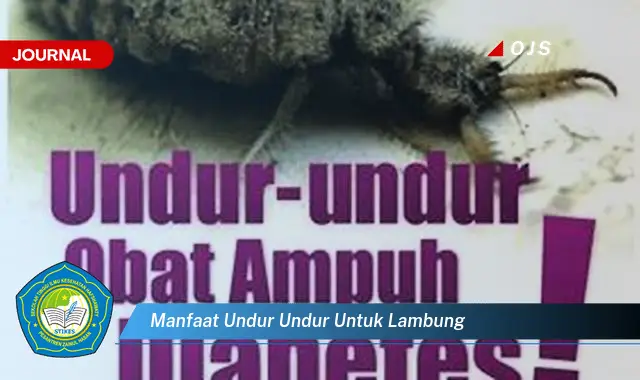 manfaat undur undur untuk lambung