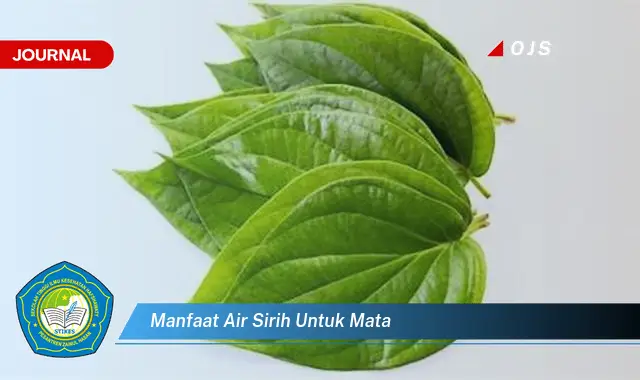 manfaat air sirih untuk mata