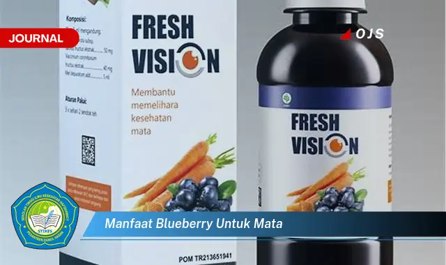 manfaat blueberry untuk mata