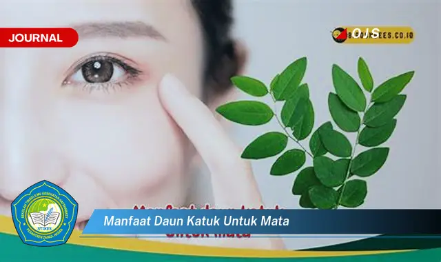 manfaat daun katuk untuk mata