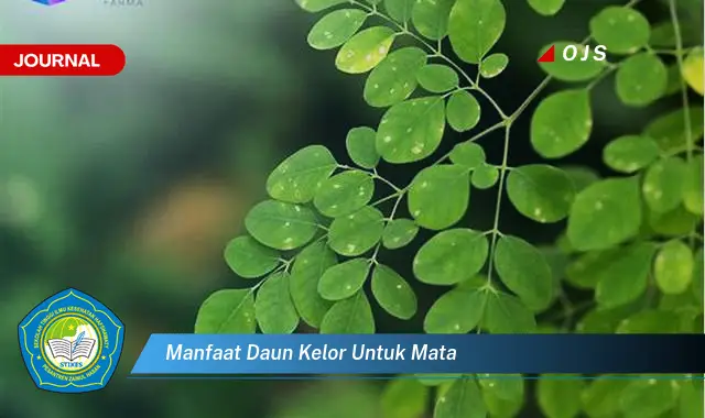 manfaat daun kelor untuk mata