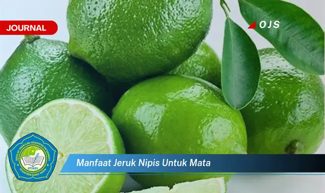 manfaat jeruk nipis untuk mata