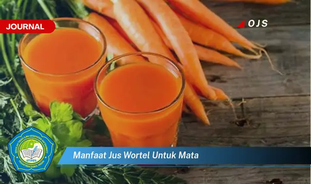 manfaat jus wortel untuk mata manfaat jus wortel untuk mata