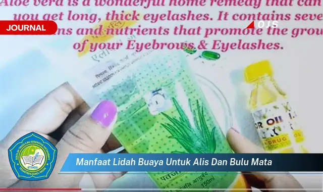 manfaat lidah buaya untuk alis dan bulu mata