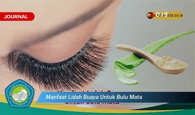 manfaat lidah buaya untuk bulu mata