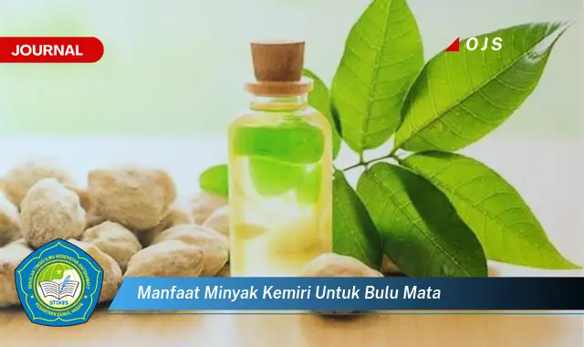 manfaat minyak kemiri untuk bulu mata