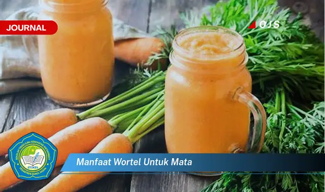 manfaat wortel untuk mata manfaat wortel untuk mata