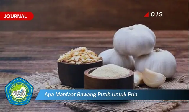 apa manfaat bawang putih untuk pria apa manfaat bawang putih untuk pria