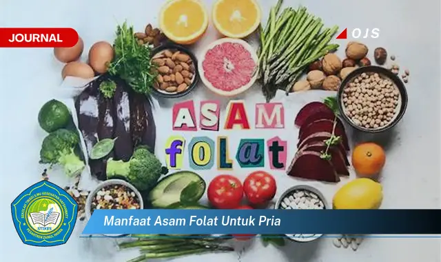 manfaat asam folat untuk pria