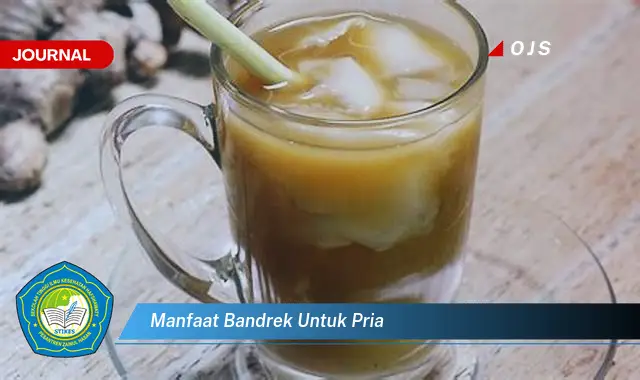 manfaat bandrek untuk pria