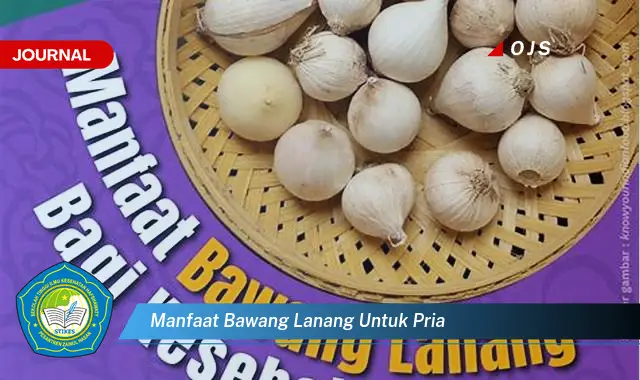 manfaat bawang lanang untuk pria