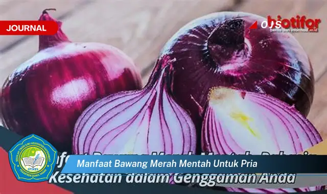 manfaat bawang merah mentah untuk pria