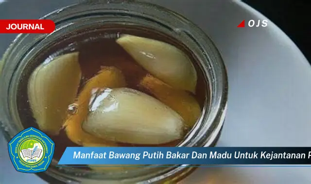 manfaat bawang putih bakar dan madu untuk kejantanan pria manfaat bawang putih bakar dan madu untuk kejantanan pria