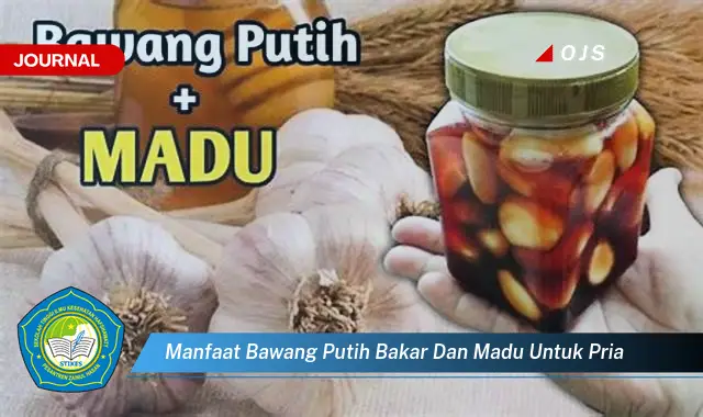manfaat bawang putih bakar dan madu untuk pria manfaat bawang putih bakar dan madu untuk pria