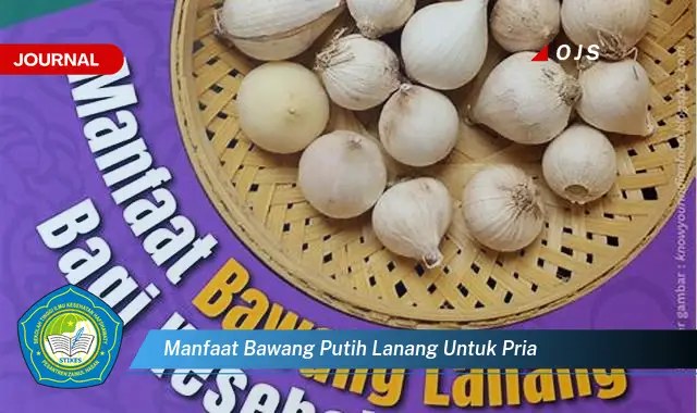 manfaat bawang putih lanang untuk pria