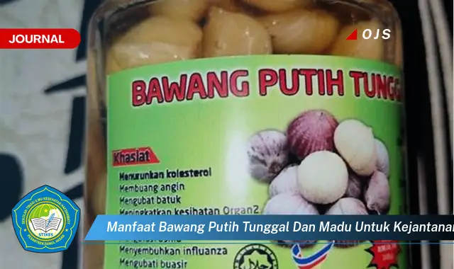 manfaat bawang putih tunggal dan madu untuk kejantanan pria