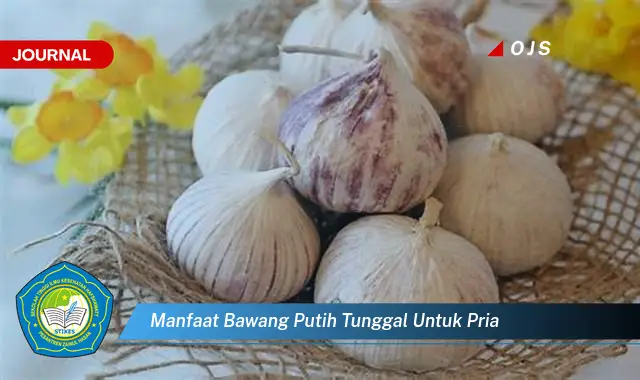 manfaat bawang putih tunggal untuk pria