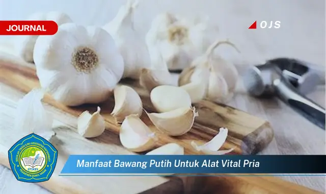 manfaat bawang putih untuk alat vital pria