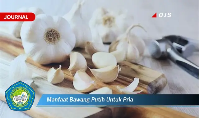 manfaat bawang putih untuk pria