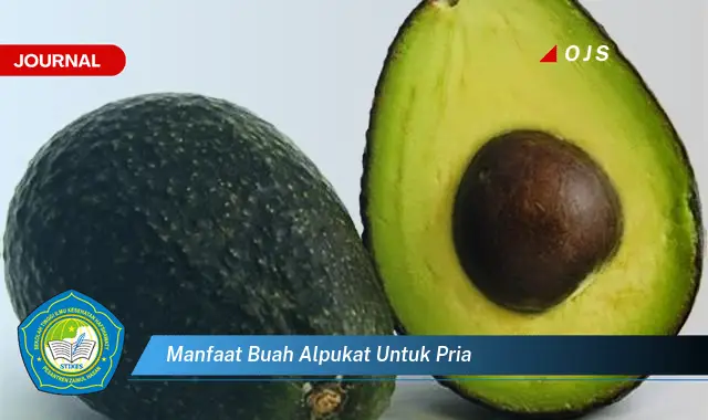 manfaat buah alpukat untuk pria