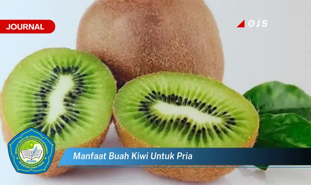 manfaat buah kiwi untuk pria