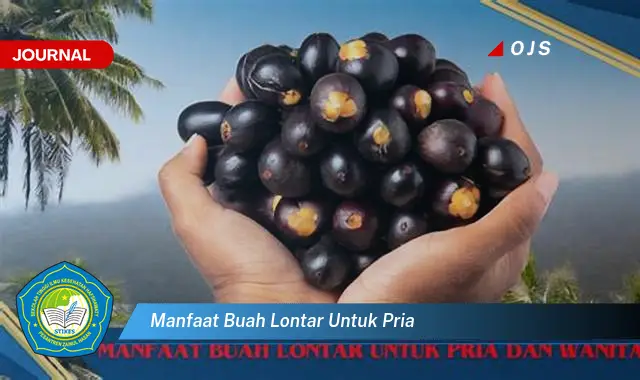 manfaat buah lontar untuk pria