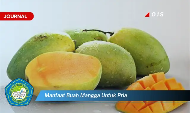 manfaat buah mangga untuk pria